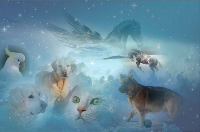 Tiere im Jenseits